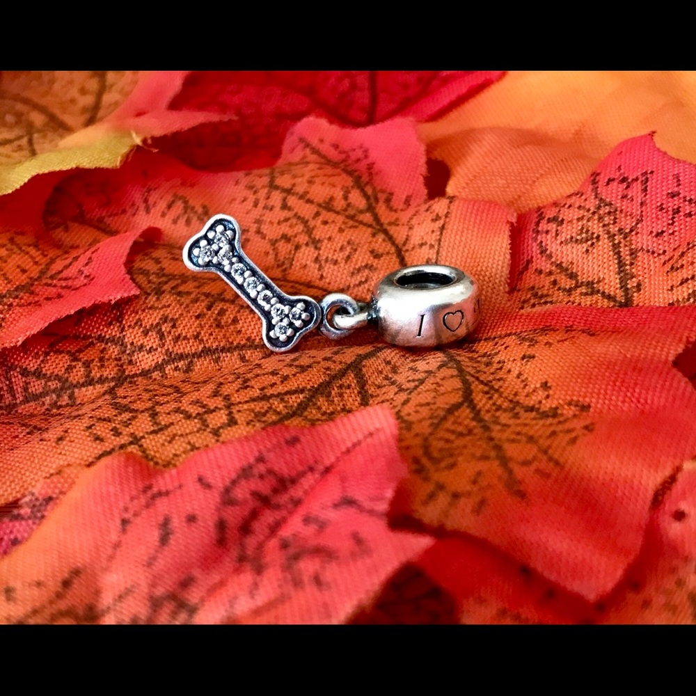 Pandora I ❤️ My Dog Charm